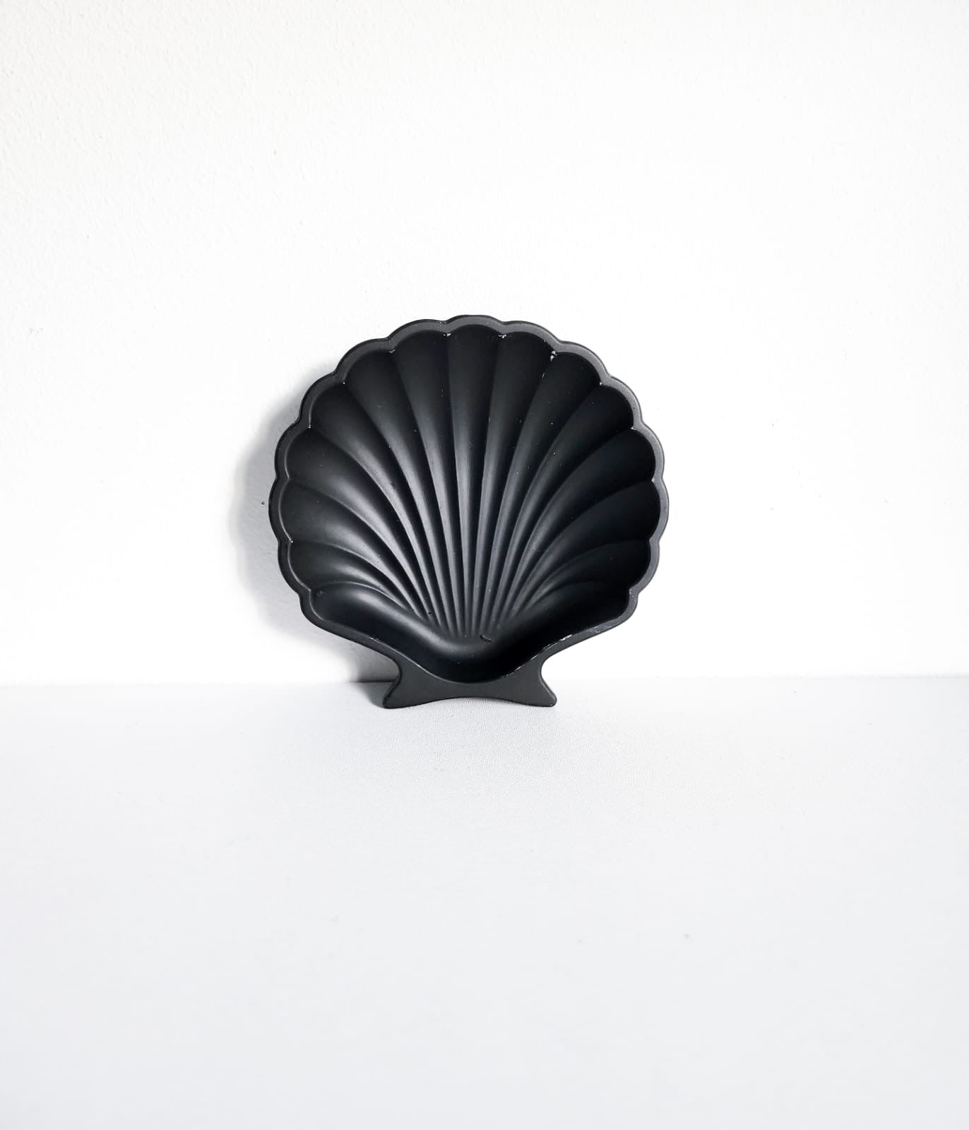 Shell Coaster