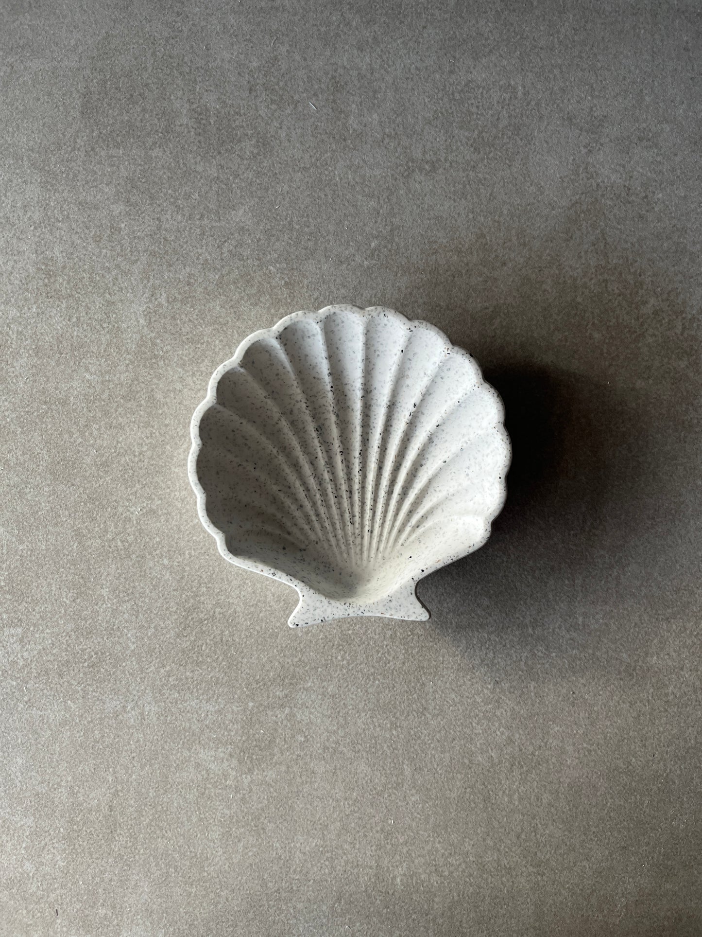Shell Coaster