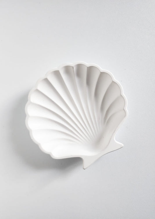 Shell Coaster