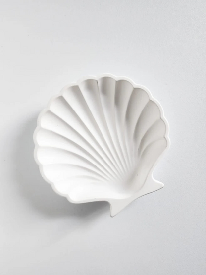 Shell Coaster