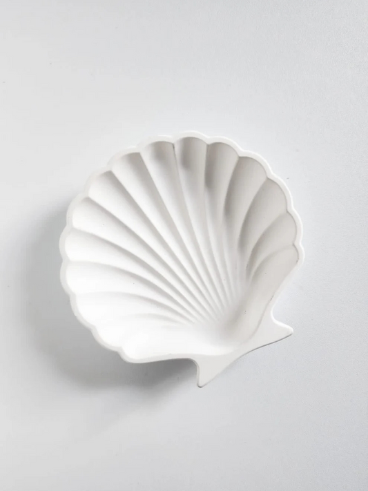 Shell Coaster